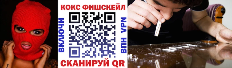 COCAIN FishScale  купить  цена  Сусуман 