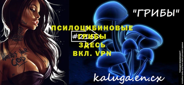 a pvp Михайловск