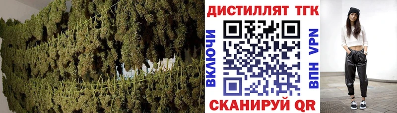 где продают   Сусуман  ТГК концентрат 