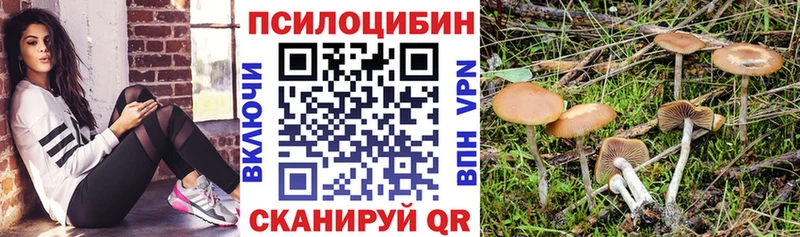 Галлюциногенные грибы ЛСД  Сусуман 