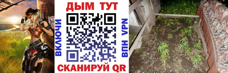 Каннабис семена  цена   Сусуман 